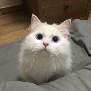 日本做爱教学视频成人在线观看啊啊啊
